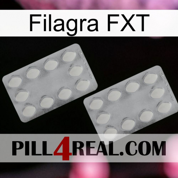 Filagra FXT 17.jpg